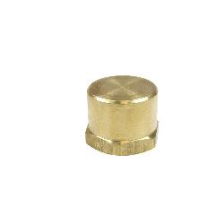 Coilhose CH002 Hex Head Cap, 1/8 in Nominal, FNPT End Style, Brass, Domestic