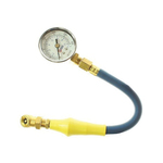 Coilhose TG300 Standard Dial Tire Pressure Gauge With Dual Ball Foot Chuck, 0 to 300 psi
