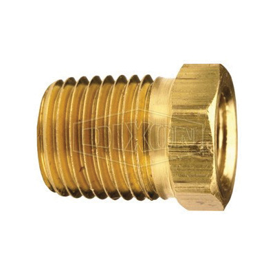 Dixon 3730402C Hex Head Pipe Bushing, 1/8 x 1/4 in Nominal, MNPT x FNPT End Style, Brass, Domestic