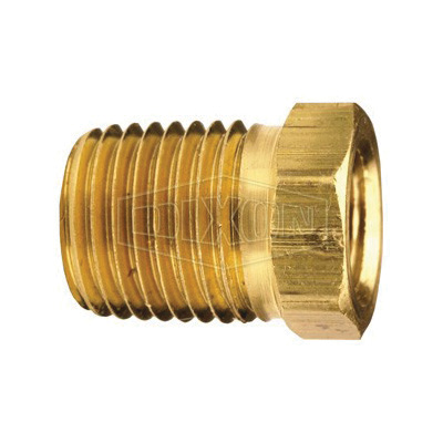 Dixon 3730604C Hex Head Pipe Bushing, 1/4 x 3/8 in Nominal, MNPT x FNPT End Style, Brass