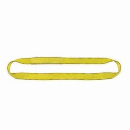 Liftex EN191X2ND Pro-Edge Type 5 Endless Web Sling, 2 ft L x 1 in W, 3200 lb, Nylon