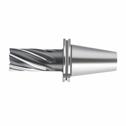 Walter 5001560 F1676-S Brazed Helical Shoulder Milling Cutter, 63 mm Dia Cutter, 100 mm Length of Cut, 6 Flutes, 50 mm Dia Shank, 155 mm OAL