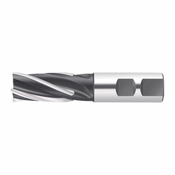 Walter 5001572 F1678-W Brazed Helical Shoulder Milling Cutter, 25 mm Dia Cutter, 50 mm Length of Cut, 4 Flutes, 25 mm Dia Shank, 125 mm OAL